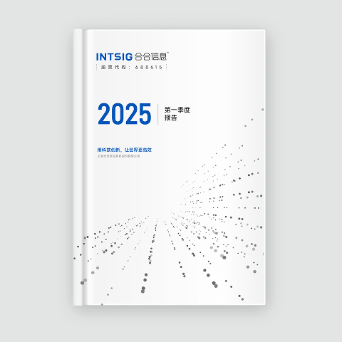 2025 第一季度报告
